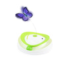 All For Paws Interactives Roll Around Flutter Bug - Zach's Pet Shop