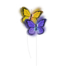 All For Paws Interactives Roll Around Flutter Bug - Zach's Pet Shop