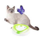 All For Paws Interactives Roll Around Flutter Bug - Zach's Pet Shop