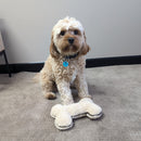 All For Paws Lambswool 9" Plush Bone - Zach's Pet Shop