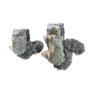 All For Paws Large Classic Squirrel Plush Toy for Dogs - Zach's Pet Shop