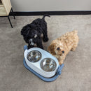 All For Paws Lifestyle 4 Pets 3-in-1 Elevated Food Bowl - Zach's Pet Shop