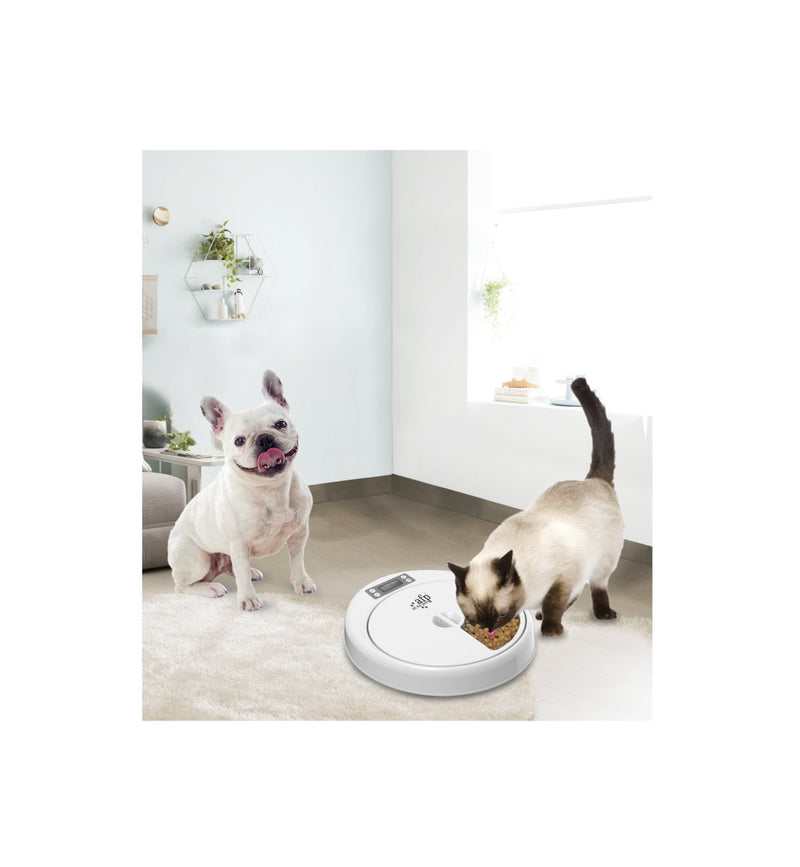 All For Paws Lifestyle 4 Pets 5 Meal Feeder - Zach's Pet Shop