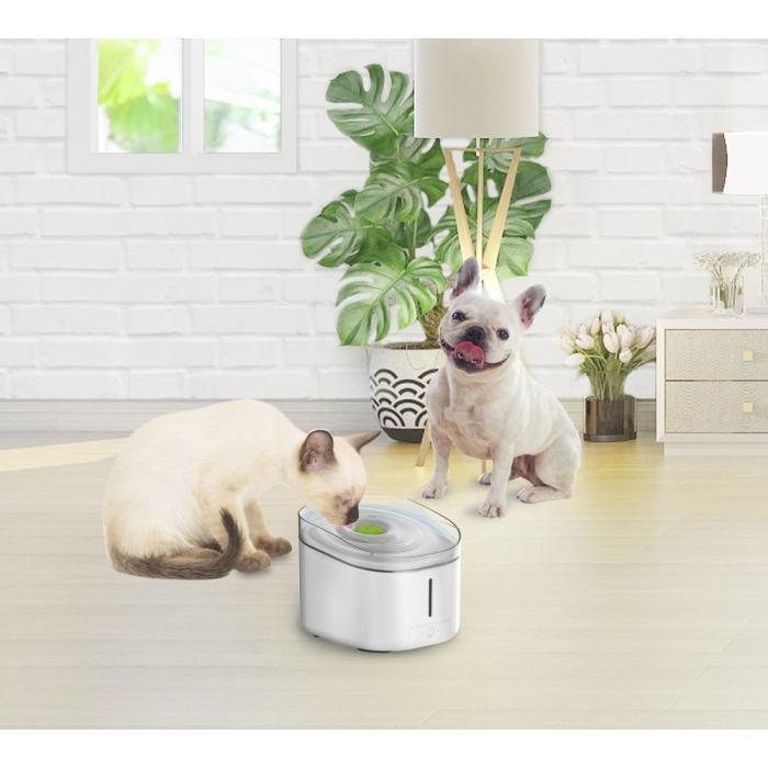 All For Paws Lifestyle 4 Pets Water Fountain - Zach's Pet Shop