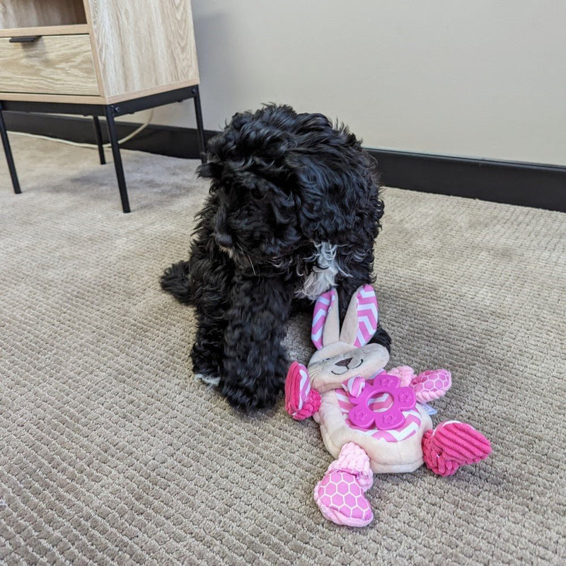 All For Paws Little Buddy Comforting Bunny - Zach's Pet Shop