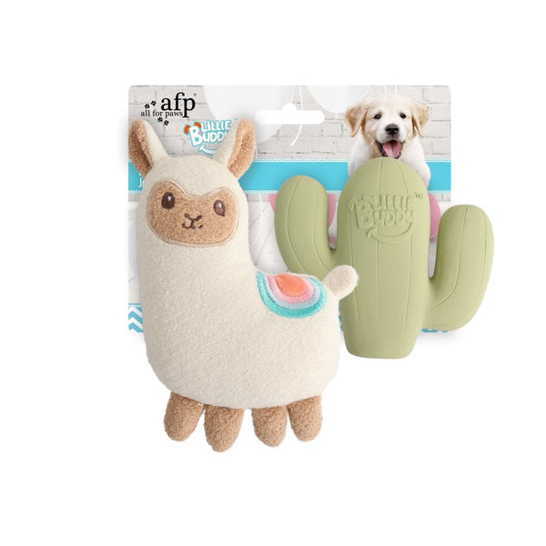 All For Paws Little Buddy Fiesta 2pk - Zach's Pet Shop