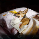 All For Paws Little Buddy Heart Beat Sheep - Zach's Pet Shop