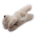 All For Paws Little Buddy Warm Bear - Zach's Pet Shop