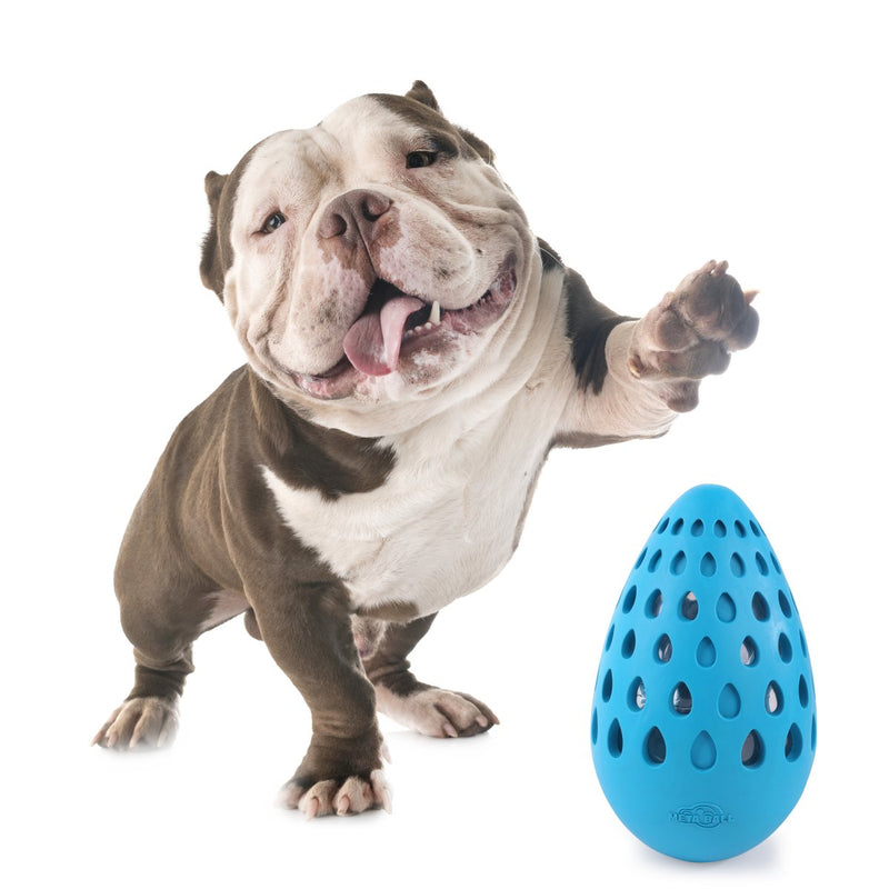 All For Paws Meta Ball Holey Egg Indestructible - Zach's Pet Shop