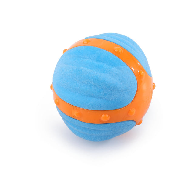 All For Paws Meta Ball X-Bounce Ball - Zach's Pet Shop