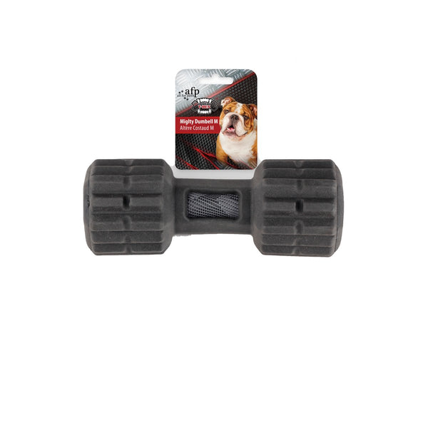 All For Paws Mighty Rex Mighty Dumbell - Zach's Pet Shop