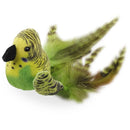 All For Paws Natural Instincts Bouncing Bird - Zach's Pet Shop