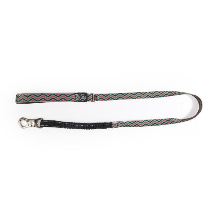 All For Paws Off Street Dog Leash - Medium - Zach's Pet Shop