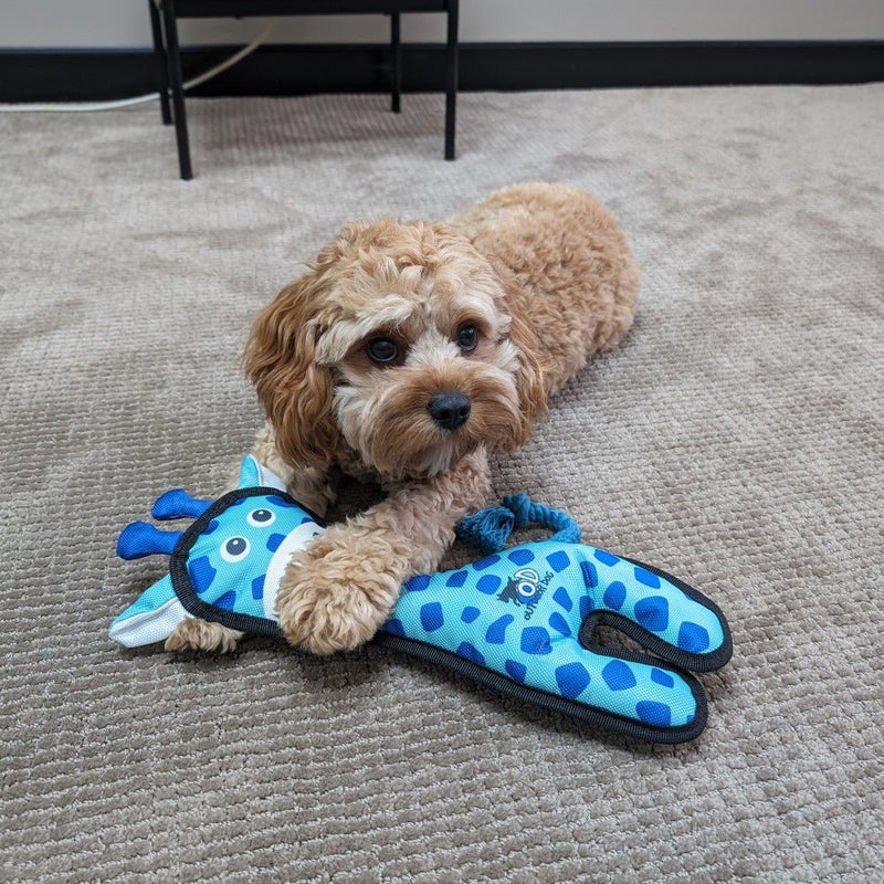 All For Paws Outdoor Ballistic Giraffe Zach's Pet Shop