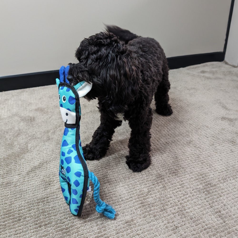 All For Paws Outdoor Ballistic Giraffe