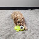 All For Paws Pups Cactus Chill Teething Toy - Zach's Pet Shop