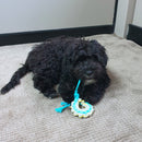 All For Paws Pups Multi Chew Sweater Rope Ring - Zach's Pet Shop