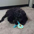 All For Paws Pups Multi Chew Sweater Rope Ring - Zach's Pet Shop