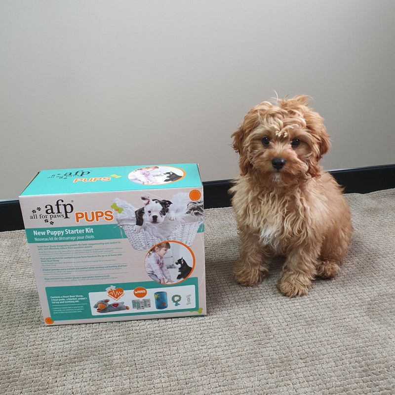 All For Paws Pups New Puppy Starter Kit - Zach's Pet Shop