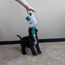 All For Paws Safari Rope Cuddle Animals - Zach's Pet Shop