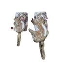 All For Paws Small Classic Chipmunk Squeaky Lifelike Plush Dog Toy - Zach's Pet Shop