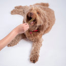 Bell & Bone Chicken, Mint and Seaweed Dental Stick Dog Treats - Zach's Pet Shop