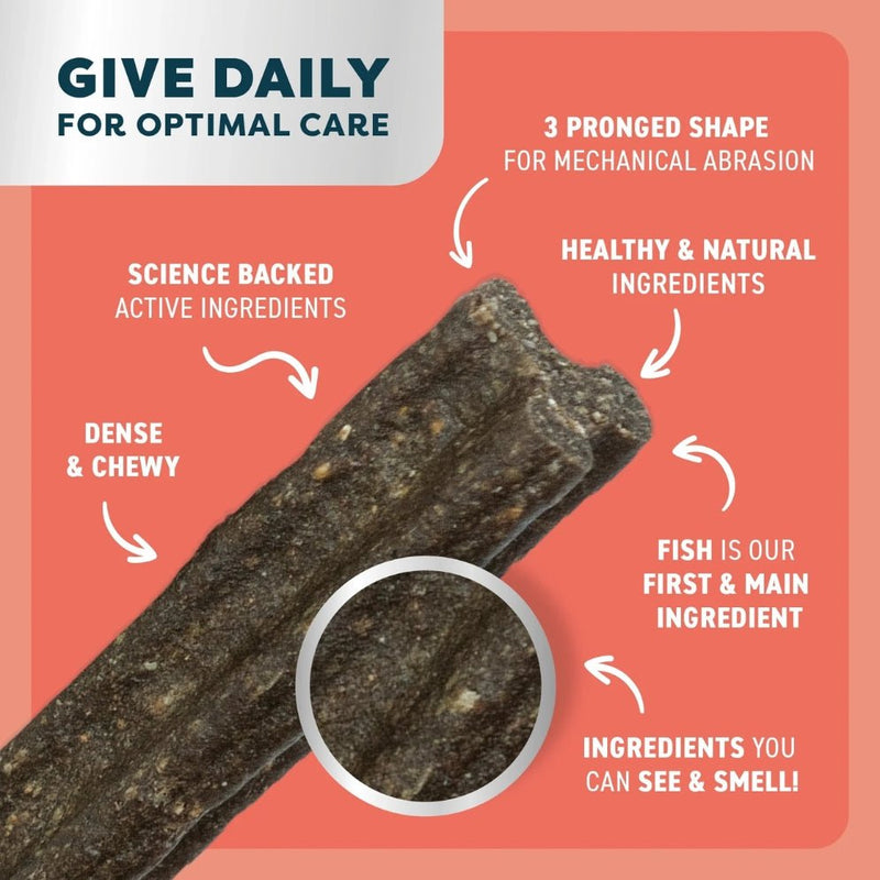 Bell & Bone Salmon, Mint and Charcoal Dental Stick Dog Treats - Zach's Pet Shop