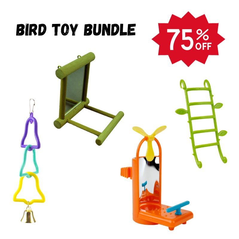 Bird Toy Bundle - Zach's Pet Shop