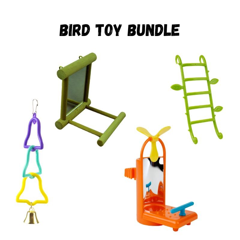 Bird Toy Bundle - Zach's Pet Shop