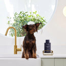 Drool by Dr. Chris Brown - Soothe My Skin Wash 500ml - Zach's Pet Shop