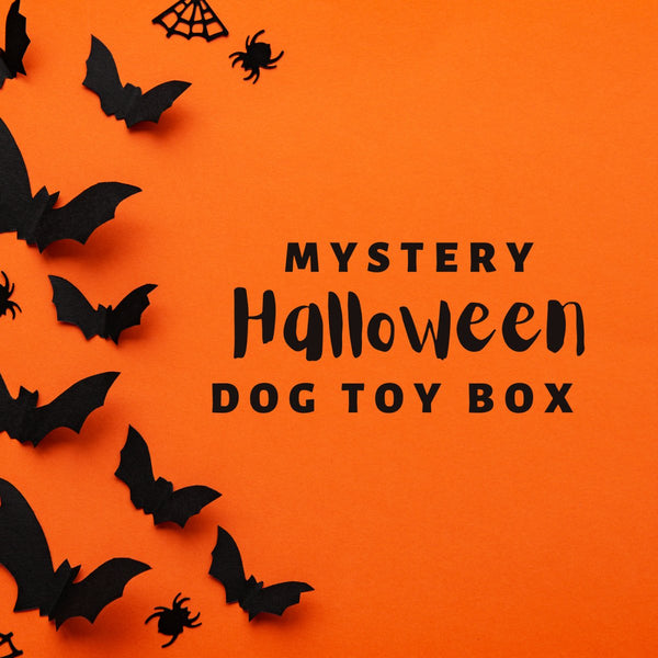 Halloween Mystery Dog Toy Box - Zach's Pet Shop