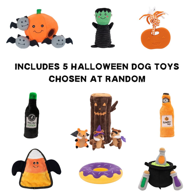 Halloween Mystery Dog Toy Box - Zach's Pet Shop