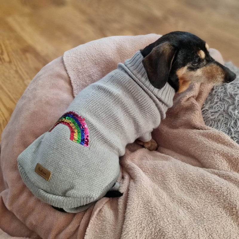 Huskimo Rainbow Grey Jumper - Zach's Pet Shop