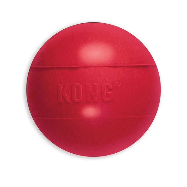 KONG Ball - Zach's Pet Shop