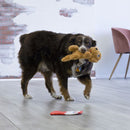 KONG Comfort Pups Goldie - Zach's Pet Shop