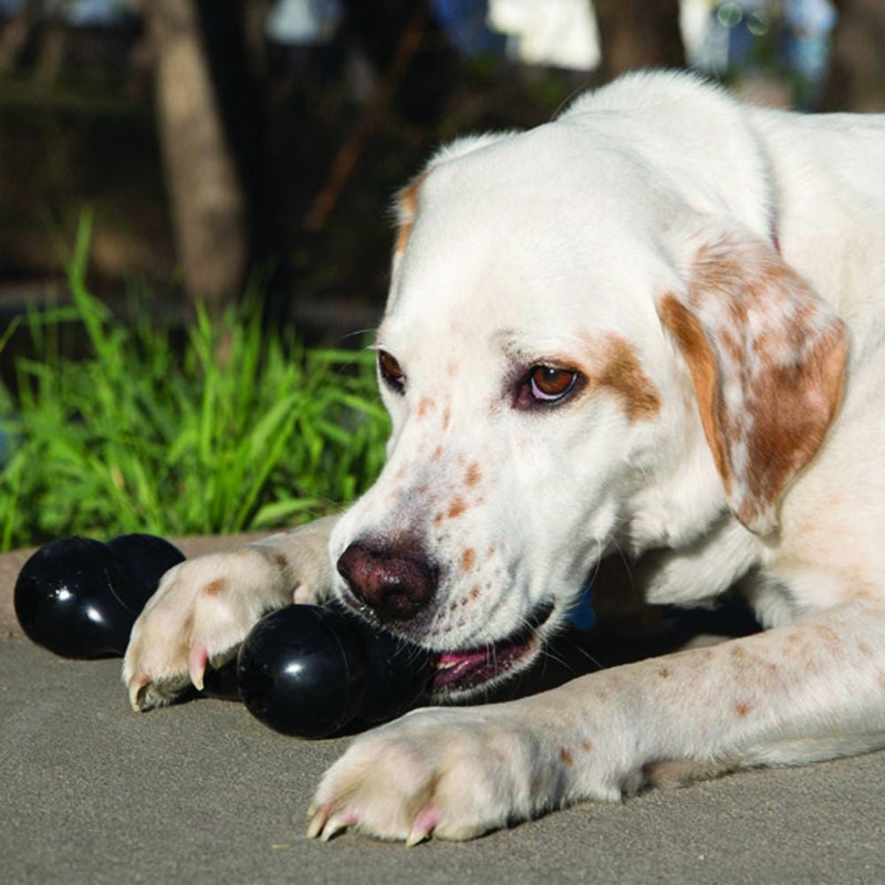 KONG Extreme Goodie Bone - Zach's Pet Shop