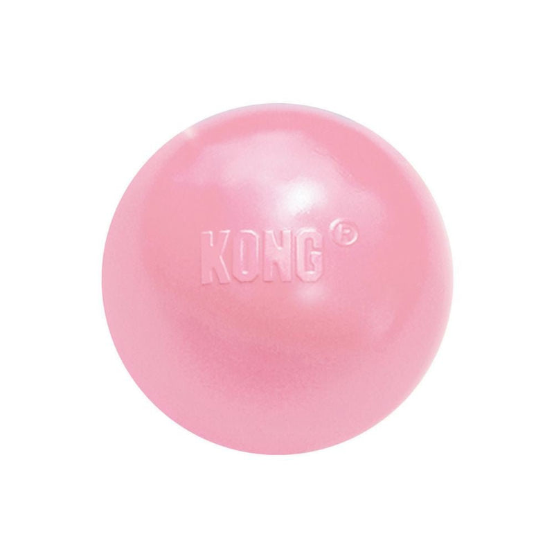 KONG Puppy Ball - Zach's Pet Shop