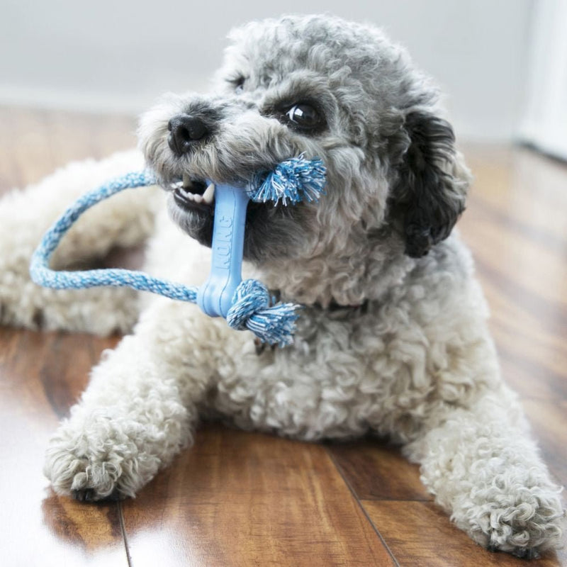 KONG Puppy Goodie Bone with Rope - Zach's Pet Shop