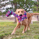 KONG Shakers Honkers Dragon - Zach's Pet Shop