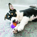 KONG Squeezz Action Ball Red - Zach's Pet Shop