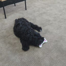 Love Teething Latex Bone