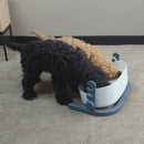 3-in-1 Elevated Food Bowl video