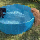 Splash and Fun Dog Pool