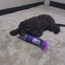 Safari Firehose Monkey - Video