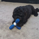 All For Paws Dental Chews Chew Jack