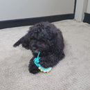 Pups Multi Chew Sweater Rope Ring - Video
