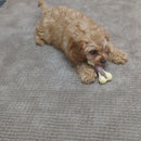 Bone Appetit Super Nylon Bone Beef Flavour