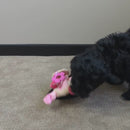 Little Buddy Comforting Bunny