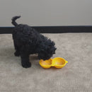 Calming Pals Peanut Shake - Puppy