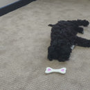 Love Teething Latex Bone